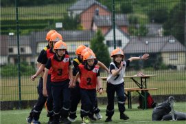 Fédération Nationale des Pompiers